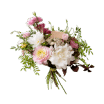 Spring breath flower