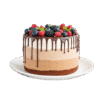 Chocolate covered cake